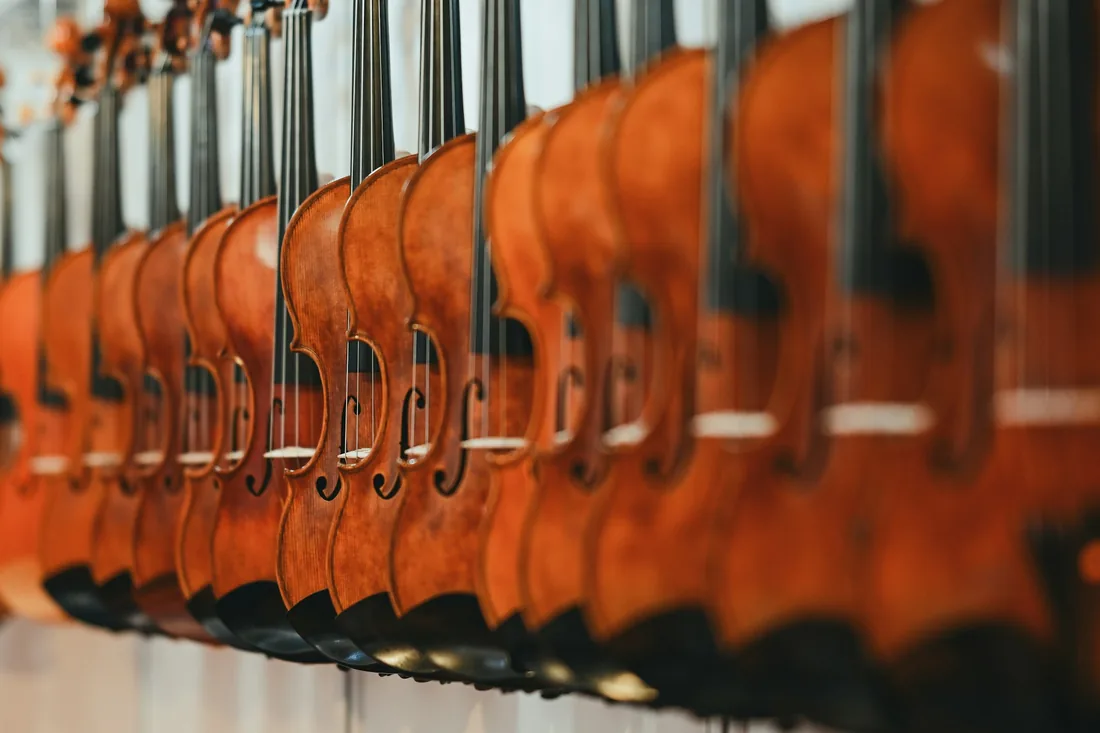 Varios violines de madera colgados en fila en un taller de lutería